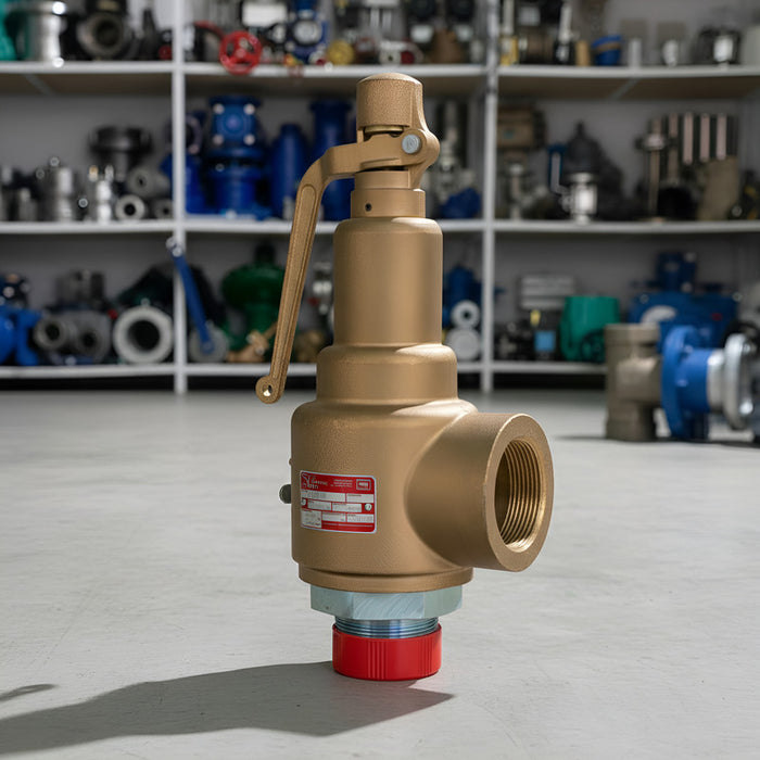 Válvula De Seguridad De 2x2-1/2 Marca Vayremex