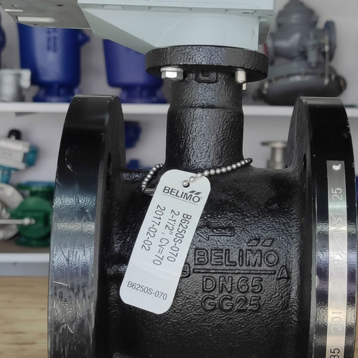 Válvula De Control De 2-1/2 Marca Belimo