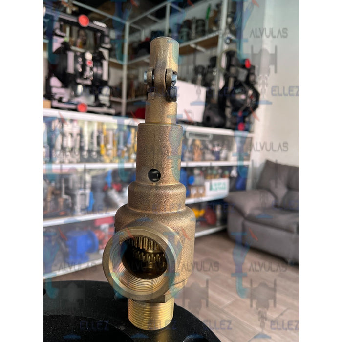Valvula De Seguridad Vayremex Mod 211-13d13tb C/constancia