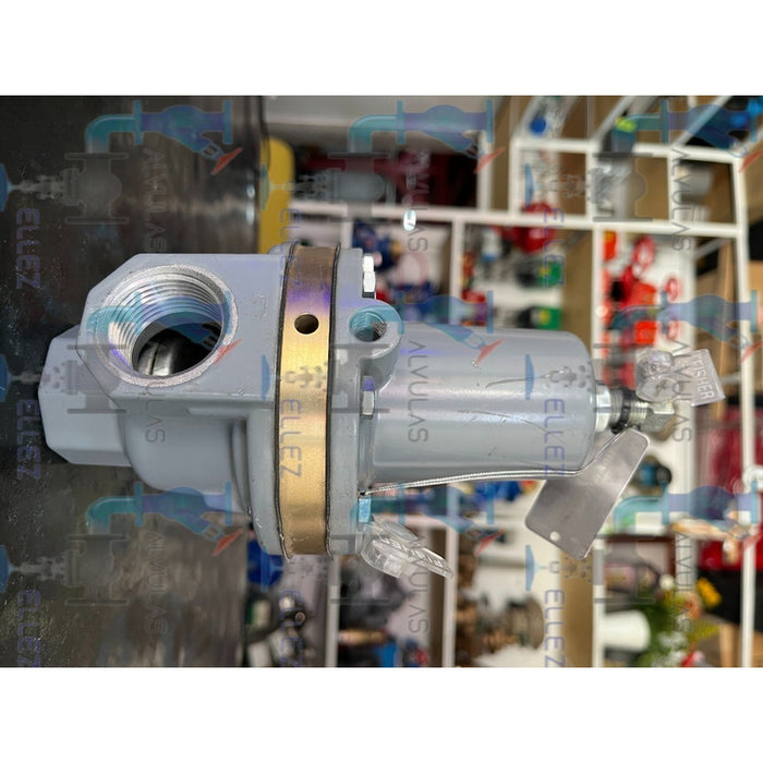 Fisher Tipo 289rc-41 Regulator