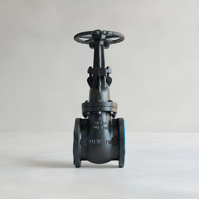 Válvula De Compuerta De 6 Clase 125 Marca Walworth