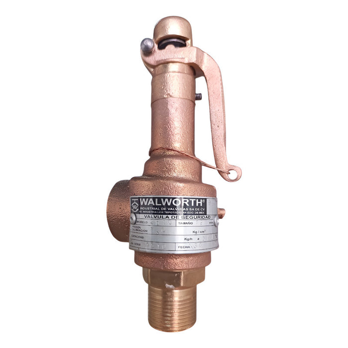Valvula De Seguridad De 3/4  Marca Walworth