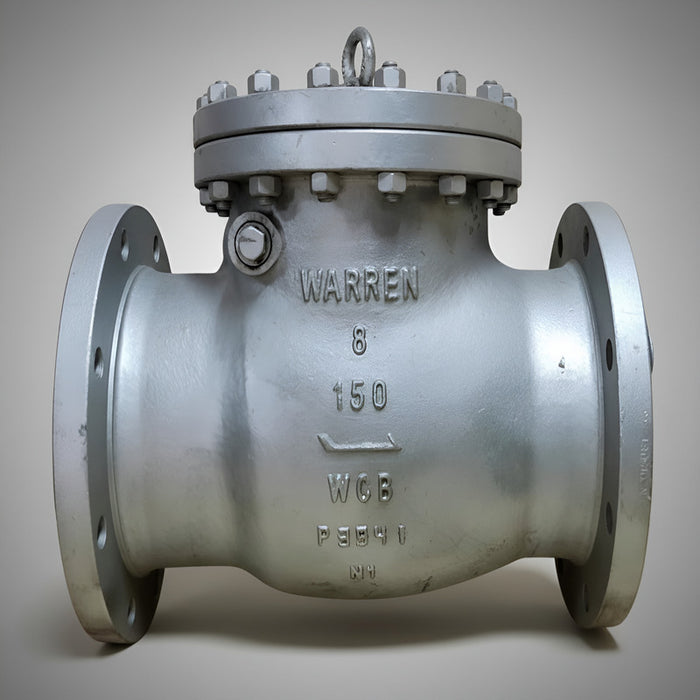 Válvula Chek De 8 Clase 150 Warren
