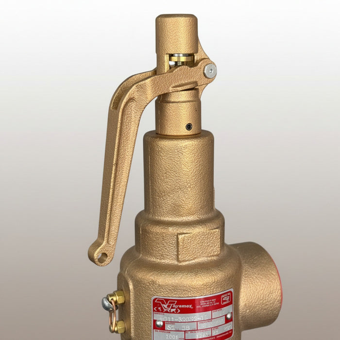 Válvula De Seguridad De 1-1/2 Marca Vayremex Modelo 211