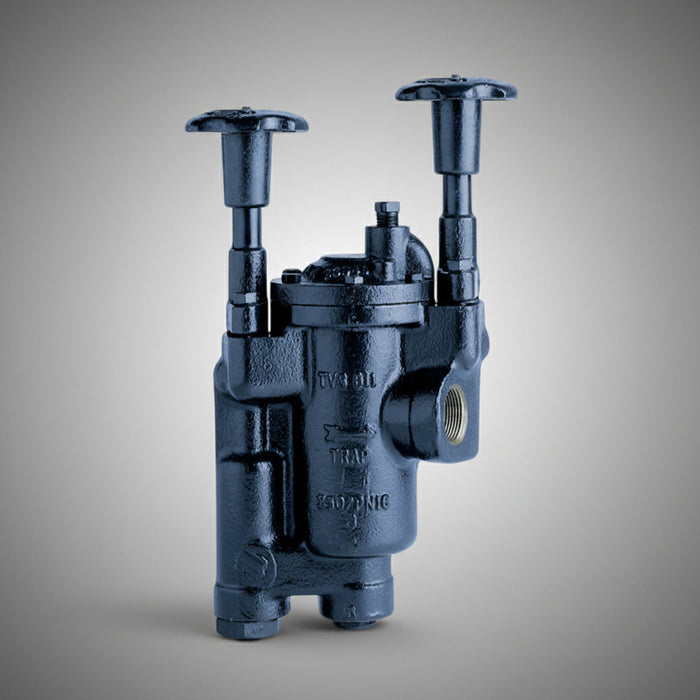 Estación De Válvulas De Purgador Serie Tvs800 Armstrong