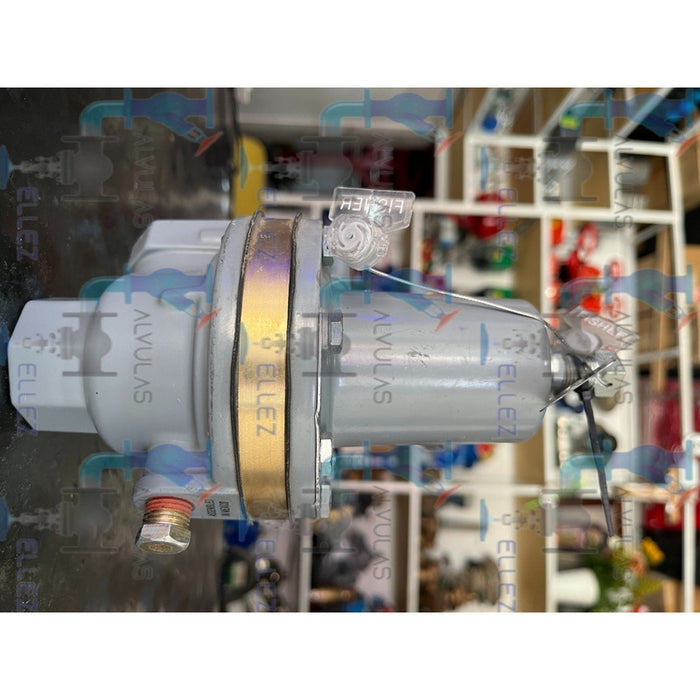Fisher Tipo 289rc-41 Regulator