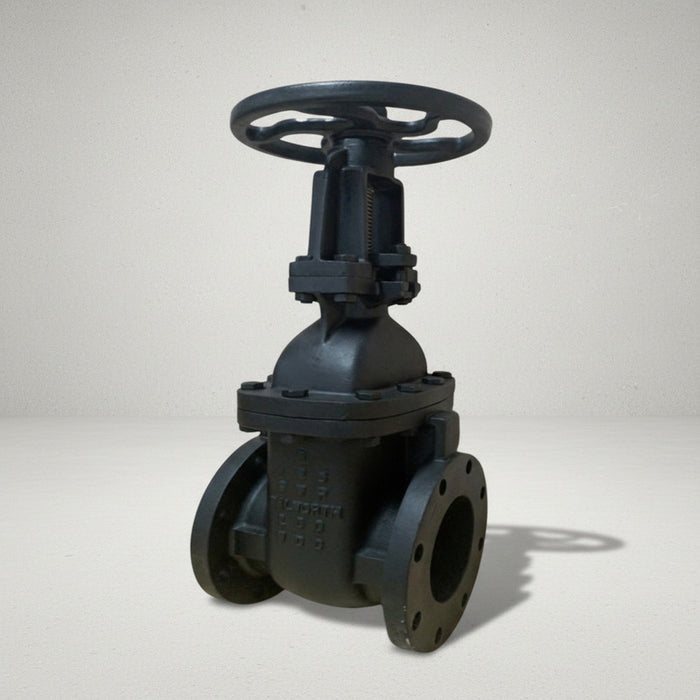 Válvula De Compuerta De 6 Clase 125 Marca Walworth