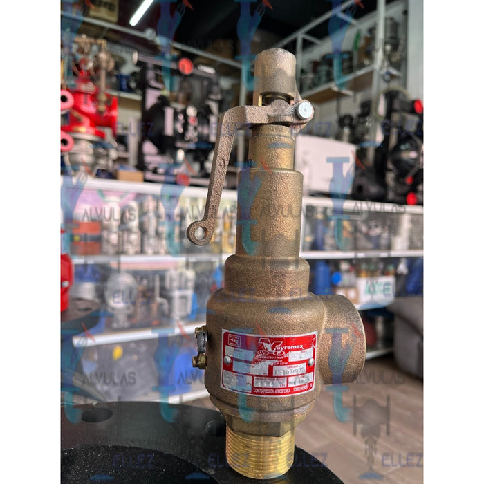 Valvula De Seguridad Vayremex Mod 211-19d19tb C/constancia
